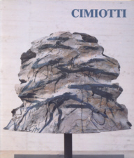 Bi A 17 1992 Biblio ci 1992 1 kl
